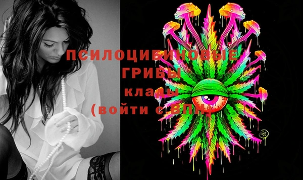 apvp Киреевск