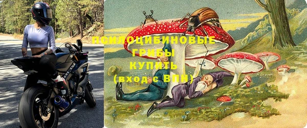 тгк Кинешма