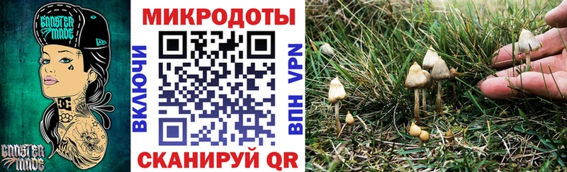 Галлюциногенные грибы Magic Shrooms  Купить где  Кольчугино 